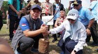 Pemko Pekanbaru Terbitkan SE Larangan Tebang Pohon Sembarangan, Warga Wajib Izin