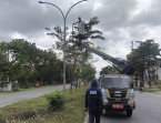 Sadis! Bukan Cuma Kabel, Panel Lampu Jalan Juga Digondol Maling di Pekanbaru