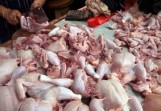 Harga Ayam Potong di Pekanbaru Masih Fluktuatif, Pemko Siapkan Pemantauan Pasokan