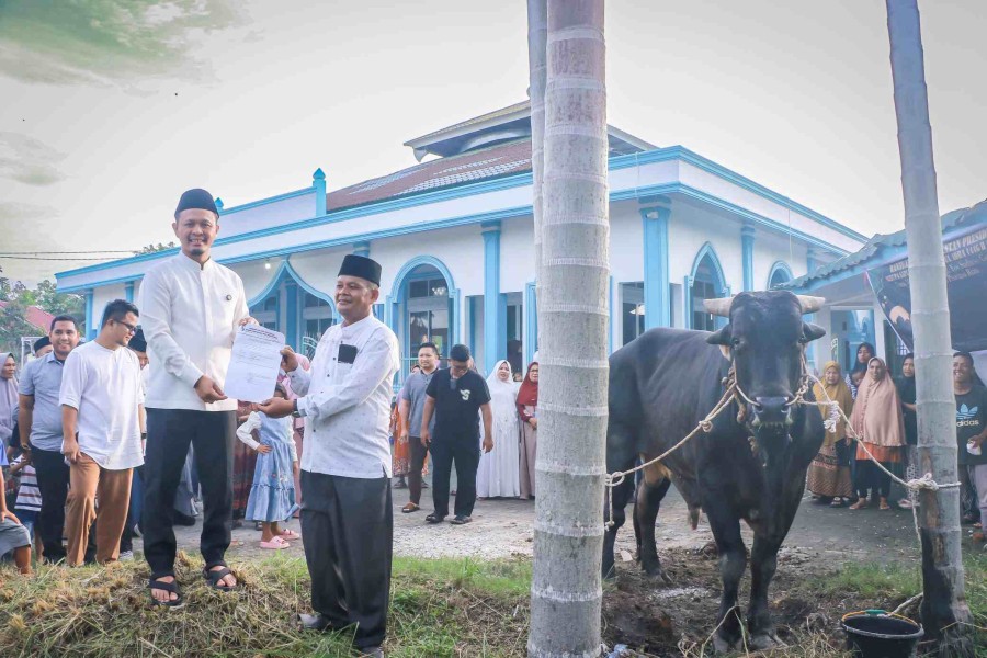Wali Kota Pekanbaru Serahkan Sapi Kurban Presiden Prabowo untuk Masyarakat Sri Meranti