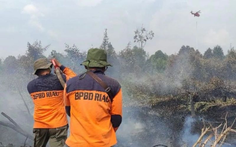 Antisipasi Asap dan Kebakaran Lahan, 12 Wilayah di Riau Siaga Karhutla