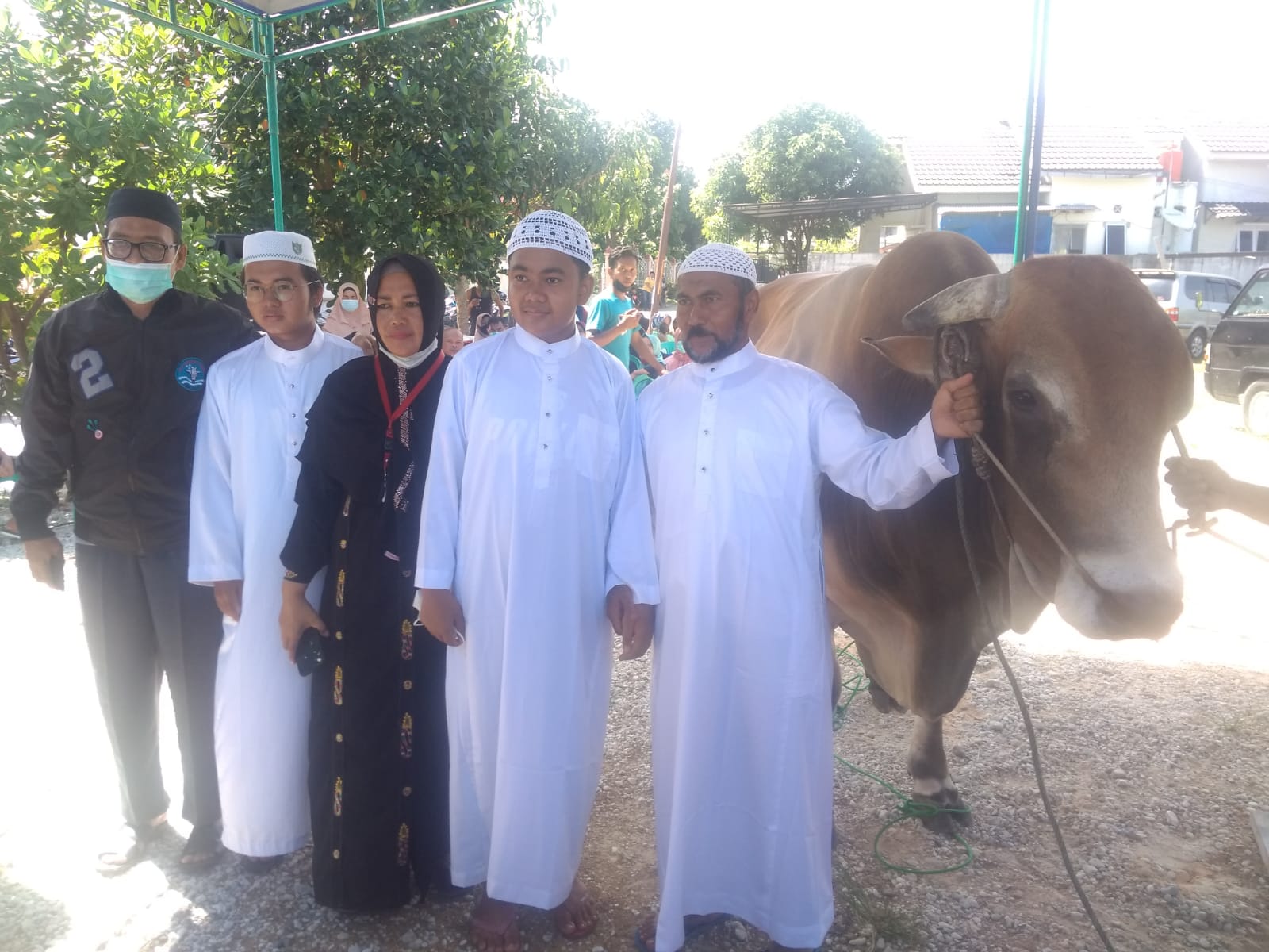 Anggota DPRD Pekanbaru Berkurban Sapi Seberat 1,373 Ton