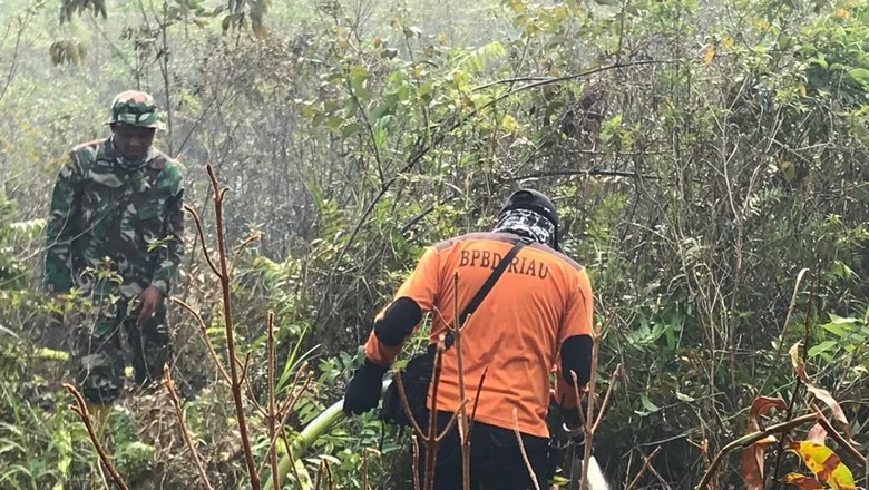 Jokowi Minta Copot Aparat Tak Bisa Tangani Karhutla, TNI Bicara Upaya Maksimal