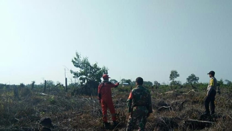 Taman Nasional Tesso Nilo Riau Terbakar, Gajah Liar Dinyatakan Aman
