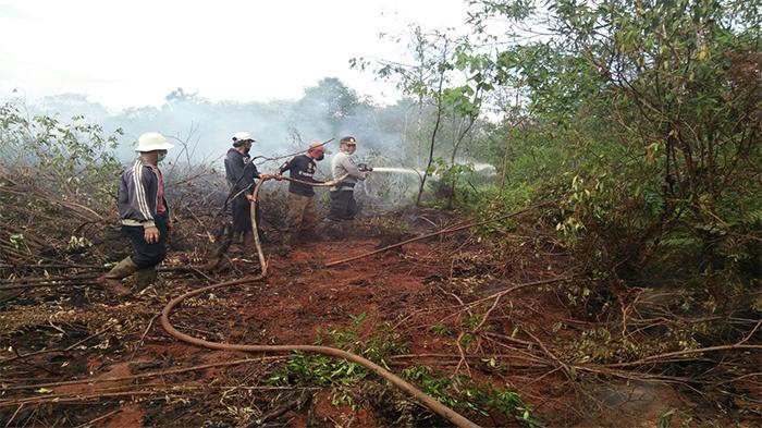 DPRD Riau Panggil Manajemen PT SSS Terkait Kebakaran Lahan Perusahaan