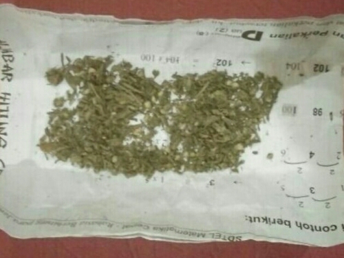 Polisi Amankan Dua Warga Bengkalis Terduga Pelaku Curanmor di Dumai, Ternyata