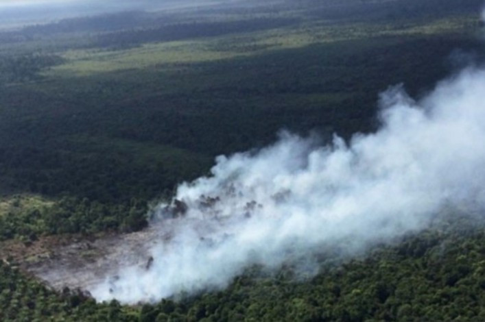 Kabut Asap Mengancam Riau, Hari Ini Titik Api Melonjak