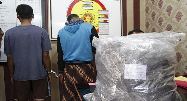 Penangkapan Tersangka peredaran narkotika jenis ganja dari Aceh