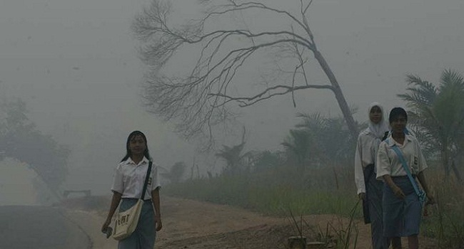 Cara Pemerintah Berantas Permasalahan kebakaran hutan di Indonesia