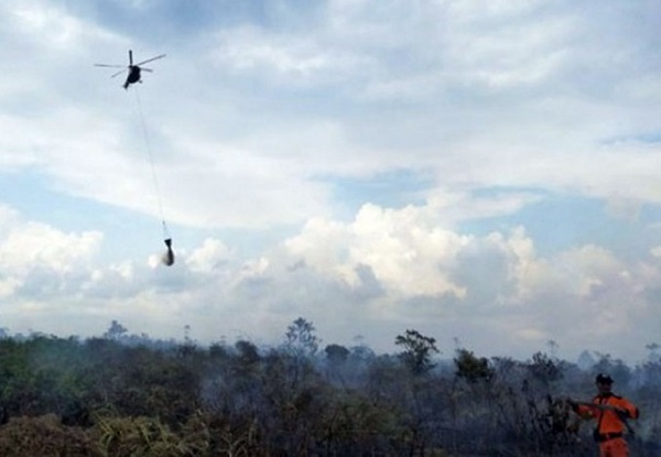 21 Hotspot Terpantau di Sumatera, 14 Titik ada di Riau