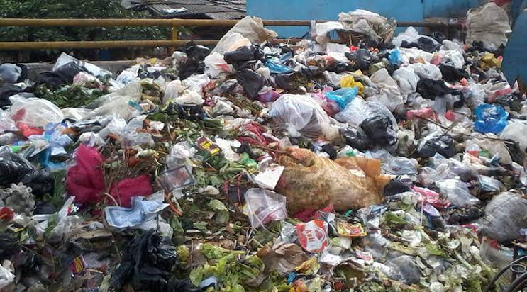 Isi Kontrak Dua Perusahaan Ngangkut Sampah Terbongkar, Komisi IV Minta di Evaluasi
