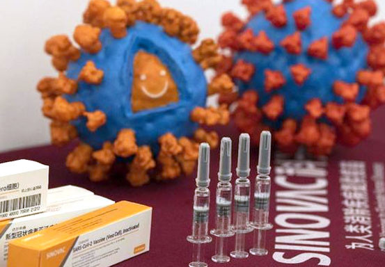 Pemerintah Jamin Sinovac Aman Meski Belum Disertifikasi WHO