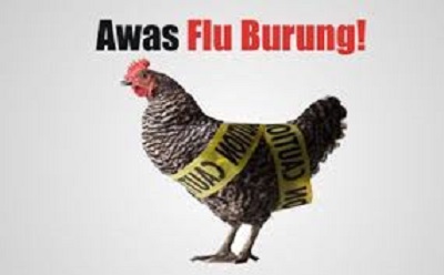 Waspada Flu Burung di 2017