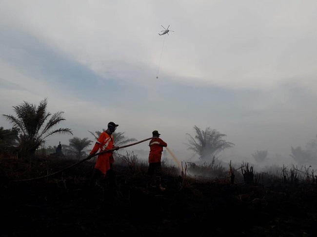 Sudah 6 Hari, Kebakaran Lahan Gambut di Riau Belum Padam