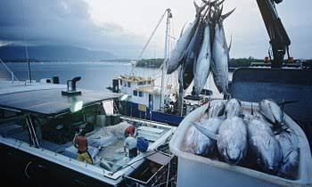 DKP Riau akan Minta Tambahan 3 Unit Kapal Patroli ke Pusat