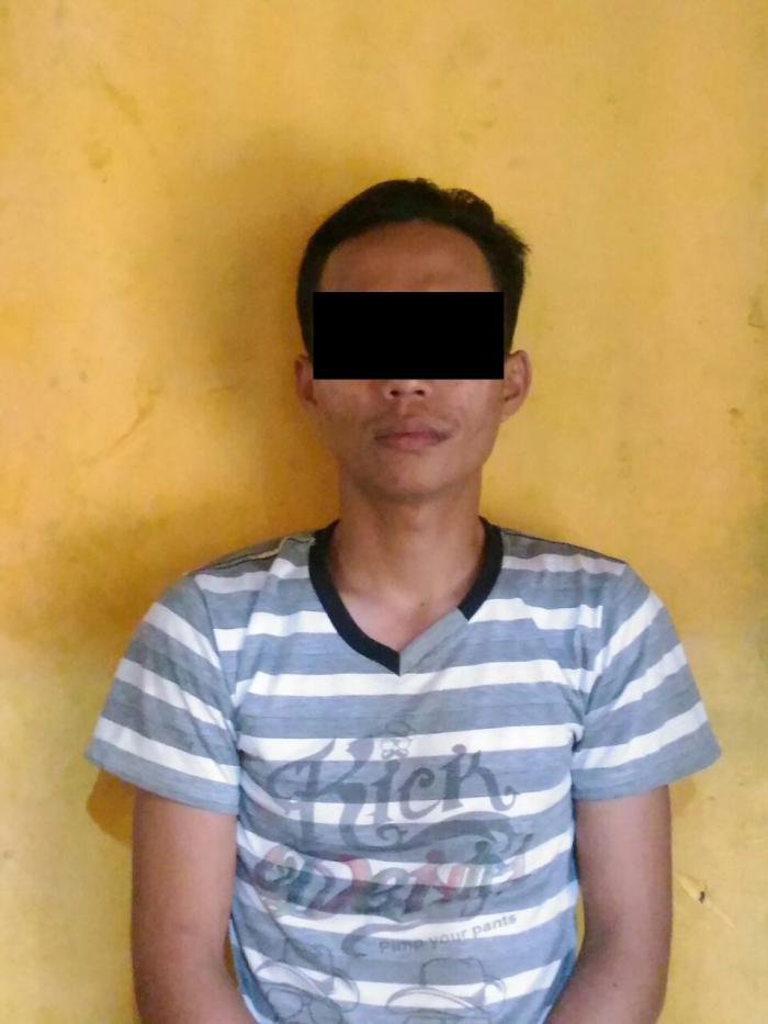 DPO Kasus Curanmor di Tapung Akhirnya di Tangkap Polisi