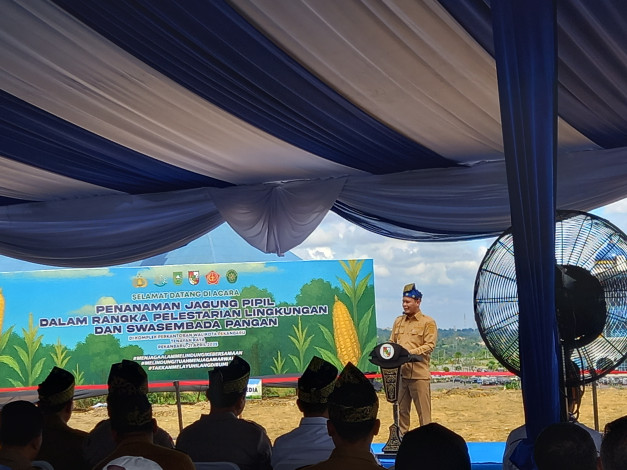 Pemko Pekanbaru Tanam 15 Ribu Jagung dan Pohon untuk Wujudkan Ketahanan Pangan