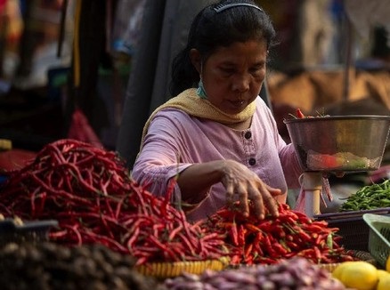 Ini Dampak Sosial Jika PPN Naik, Pajak Pendidikan-Sembako Diterapkan