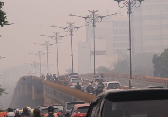 Kualitas Udara di Pekanbaru Berbahaya, Jarak Pandang di Inhu dan Pelalawan 300 Meter
