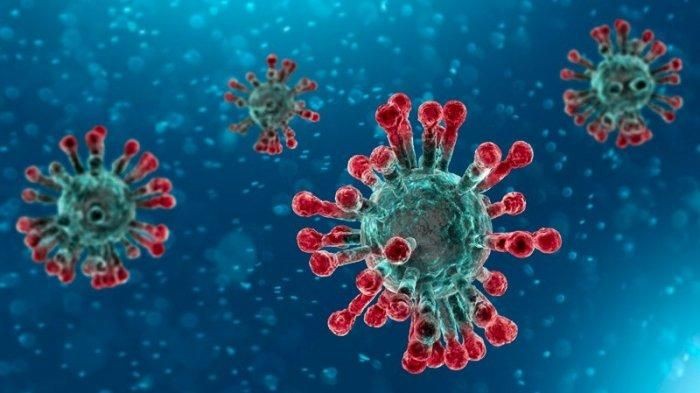 Antisipasi Penyebaran Virus Corona, Pegawai Kejati Riau Diberi Vaksin Influenza