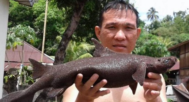Ikan Aneh Ini Ditemukan di Pantai Kalasey Minahasa