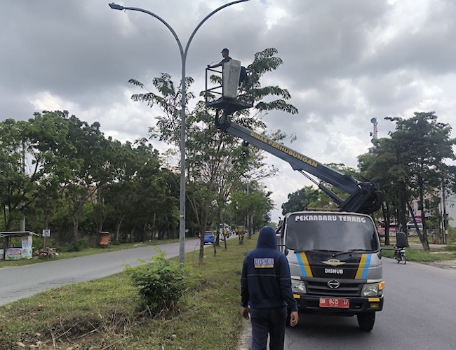 Sadis! Bukan Cuma Kabel, Panel Lampu Jalan Juga Digondol Maling di Pekanbaru