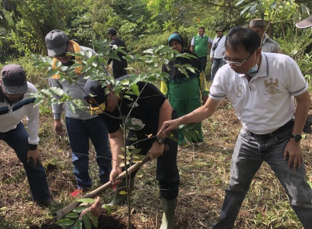 DLHK Riau Tanam 10 Ribu Bibit Pohon Dalam Rangka Peringati Hari Bhakti Rimbawan
