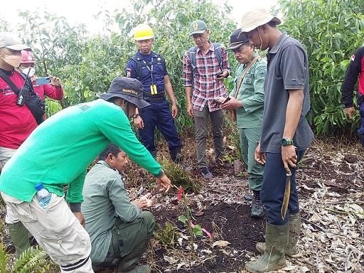 Anak 12 Tahun di Inhil Tewas Diduga Diterkam Harimau, Diseret Keluar dari Pondok