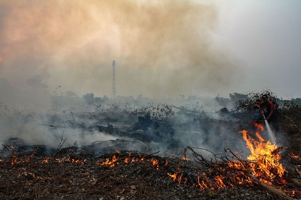 Pertamina Kucurkan Dana Rp 625 Juta Atasi Kebakaran di Riau