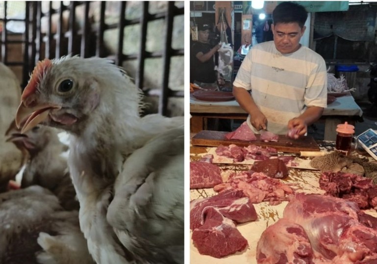 Jelang Imlek dan Ramadan 2026, Harga Ayam, Telur dan Daging Sapi di Pekanbaru Mulai Naik