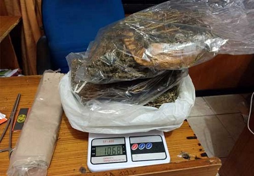 Polres Bengkalis Amankan 1 Kg Ganja Kering dan 6 Tersangka