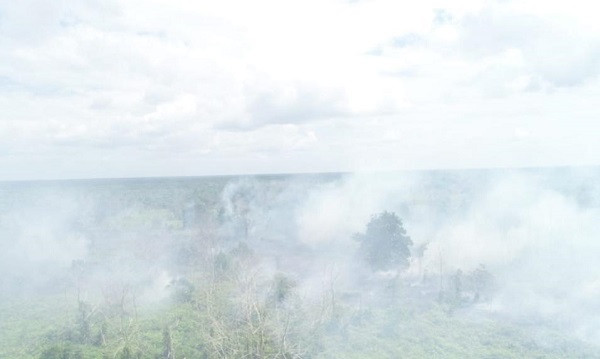 Sudah 50 Ha Lahan Terbakar, Riau Segera Tetapkan Status Siaga Darurat Karhutla 2021