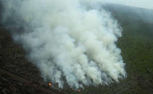 7 Hotspot Terpantau di Riau, 5 Diantaranya Potensi Karhutla