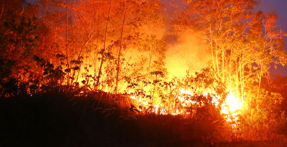 Berikut Jadwal Praperadilan SP3 Perusahaan Pembakar Lahan Jilid II