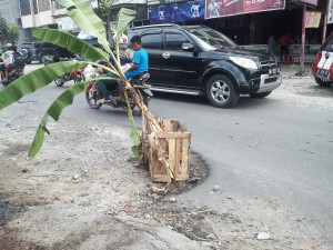 Merasa Dianaktirikan Pemerintah, Warga Tanam Pohon Pisang di Jalan Berlubang