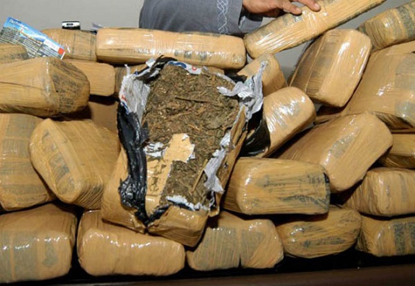 Dua PNS Terlibat Dalam Pengiriman Paket Ganja