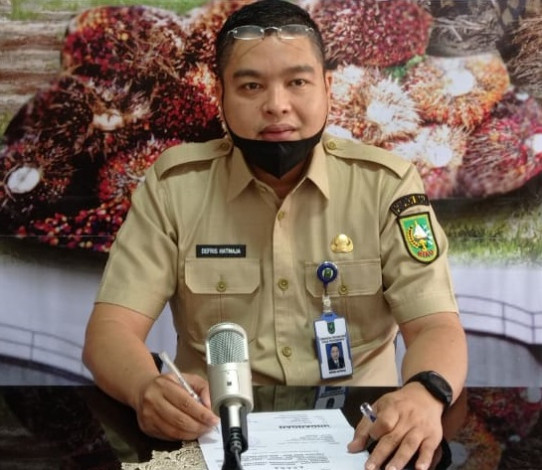 Capai Rp2.384 Perkilogram, Harga TBS Kelapa Sawit Riau Naik Lagi