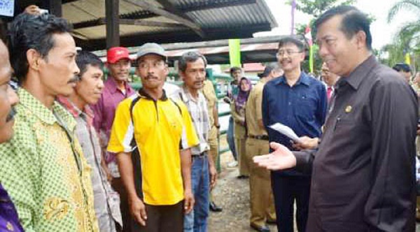 Firdaus - Ayat Bagikan 150 Sapi Senilai Rp 4,4 Milyar Tahun 2014