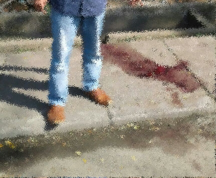 Geger, Remaja 17 Tahun Ditemukan Tewas Bersimbah Darah di Pinggir RTH Kota Rengat