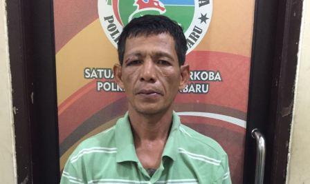 Seorang Pengedar Ganja dan Sabu di Sidomulyo, Pekanbaru Digerebek Polisi