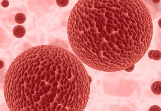 Wabah Misterius Ditemukan di Nigeria, 100 Orang Terinfeksi, 15 Tewas