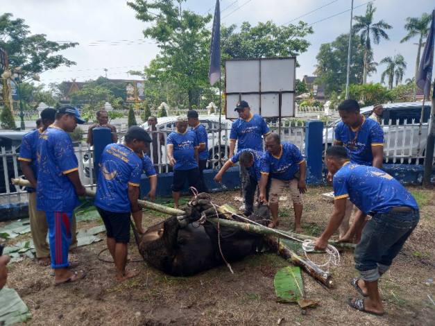 Rayakan Idul adha 2025, NasDem Riau Kurban 4 Sapi dan Bagikan Daging ke Warga