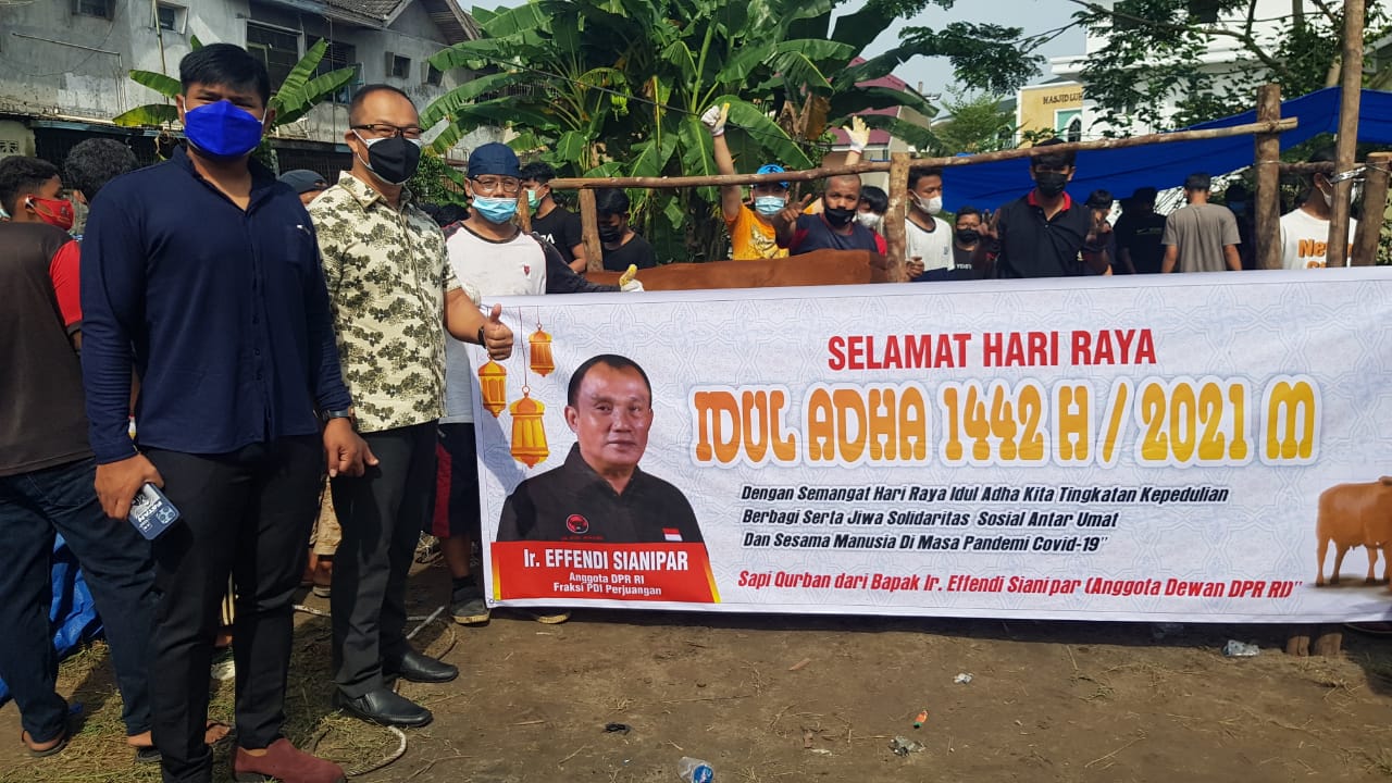 Anggota DPR RI Efendi Sianipar Berkurban 3 Sapi di Pekanbaru