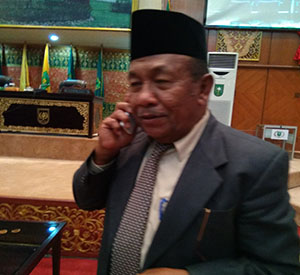 Wan Thamrin Hasyim Terpilih, Riau Kini Punya Wakil Gubernur