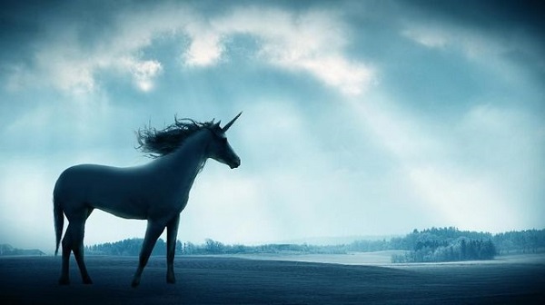 'Metamorfosis' Unicorn: Mitologi, Startup, Sampai Seksual