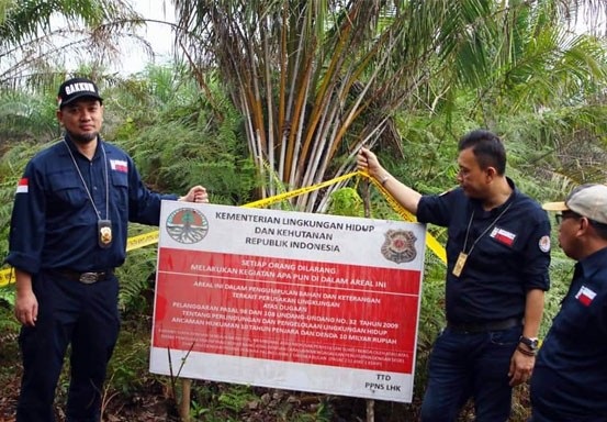 Lahan Kebun Plasma PT Teso Indah yang Terbakar Disegel KLHK RI