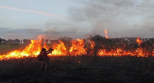 Dalam Dua Minggu Ini, 20 Hektar Lahan di Inhu Terbakar