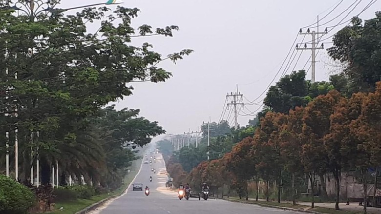 Imbas Karhutla, Kabut Asap Kian Memburuk di Pekanbaru