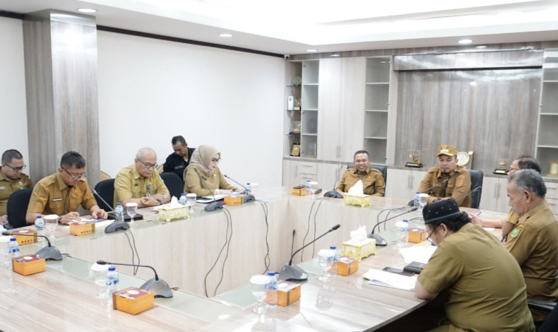 Bupati Inhu Adukan Tunda Bayar Anggaran dan Tunggakan BPJS ke Gubernur Riau