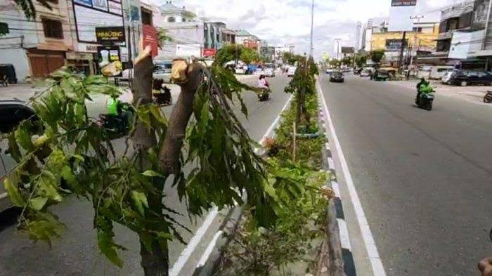 Disebut Cabut Laporan Kasus Penebangan 83 Pohon, Ini Kata Dinas PUPR Pekanbaru